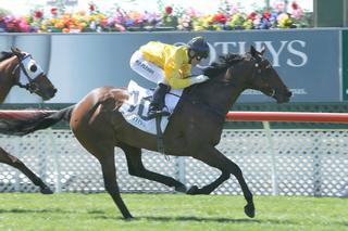 Karaka Graduate Lady Zafira (NZ) Claims Pegasus Stakes. Photo: Trish Dunell.